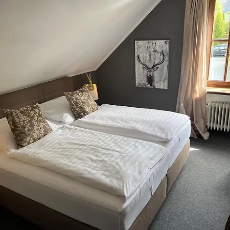 Boutique-hotel Weigels Bergfreiheit Готель Вінтерберг
