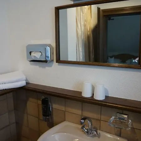 Boutique-hotel Weigels Bergfreiheit 3* Вінтерберг